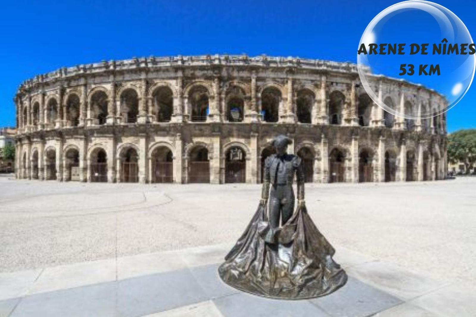 Le Cosy Du Gal, A 2 Pas Du Palais Des Papes Parking Gratuit Securise Apartment Avignon Exterior foto