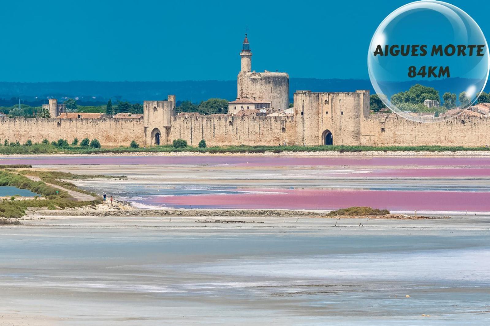 Le Cosy Du Gal, A 2 Pas Du Palais Des Papes Parking Gratuit Securise Apartment Avignon Exterior foto