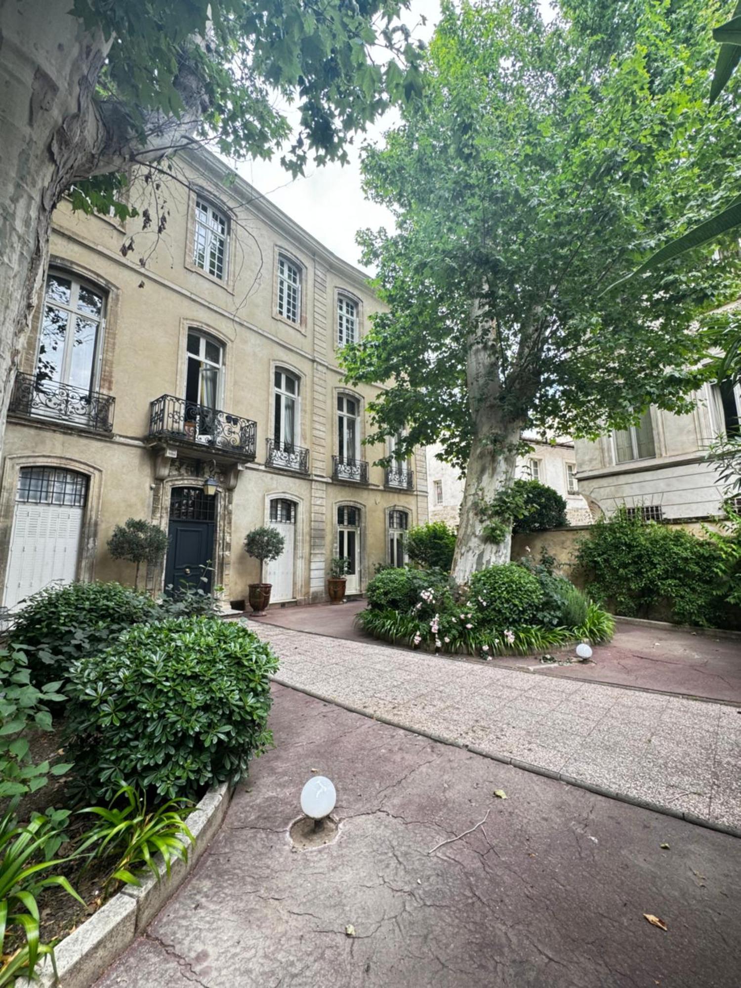 Le Cosy Du Gal, A 2 Pas Du Palais Des Papes Parking Gratuit Securise Apartment Avignon Exterior foto