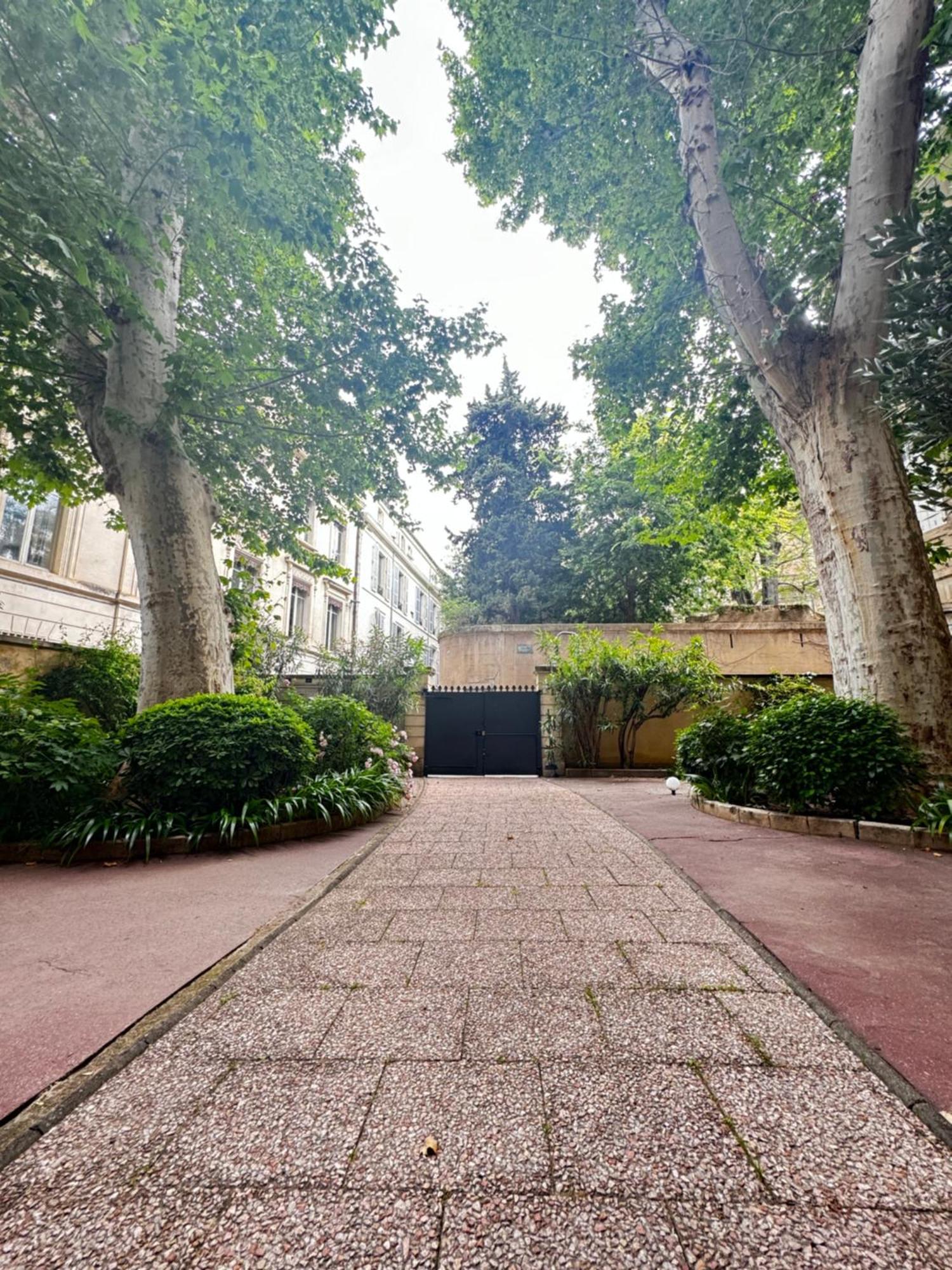 Le Cosy Du Gal, A 2 Pas Du Palais Des Papes Parking Gratuit Securise Apartment Avignon Exterior foto