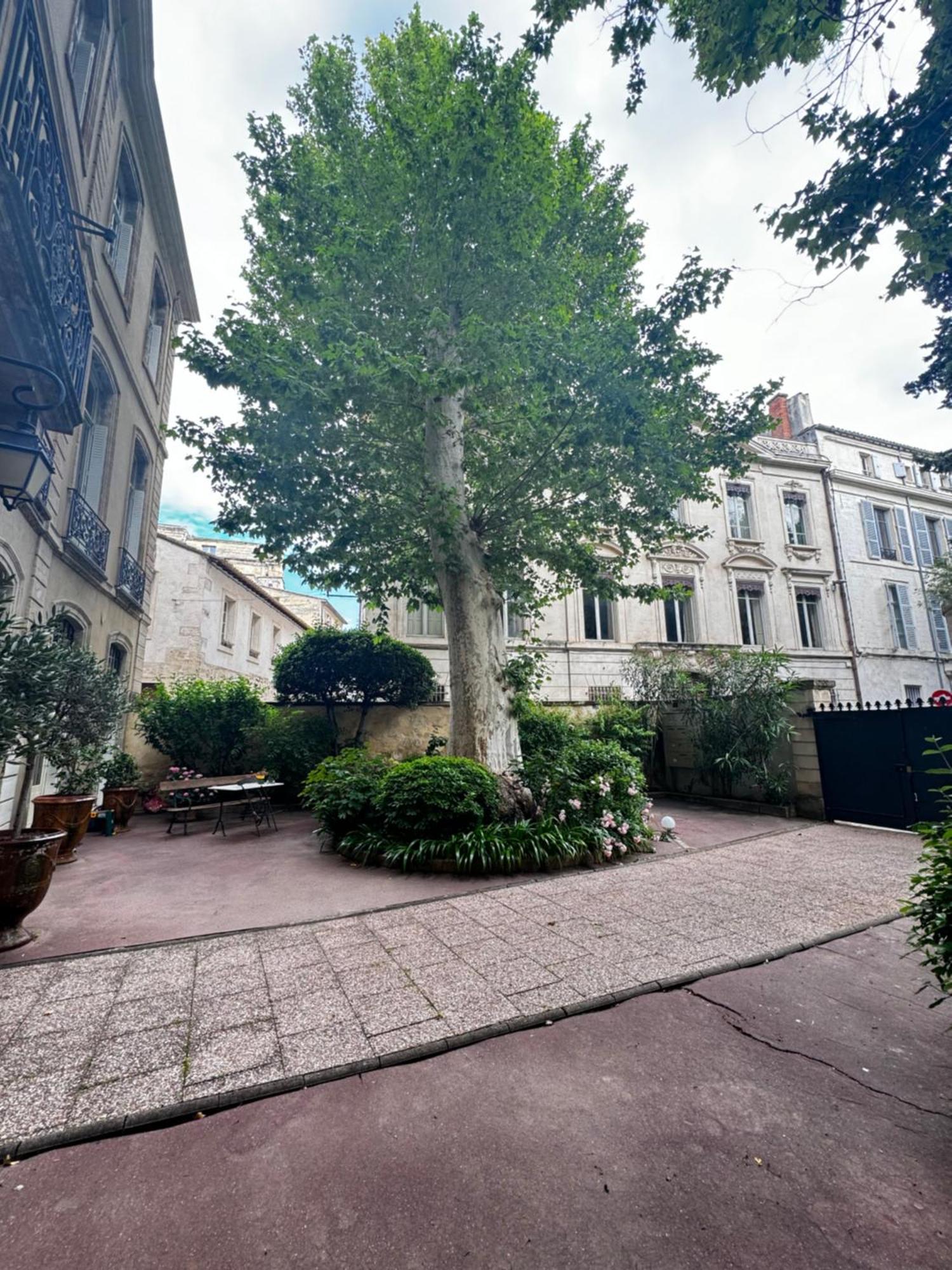 Le Cosy Du Gal, A 2 Pas Du Palais Des Papes Parking Gratuit Securise Apartment Avignon Exterior foto